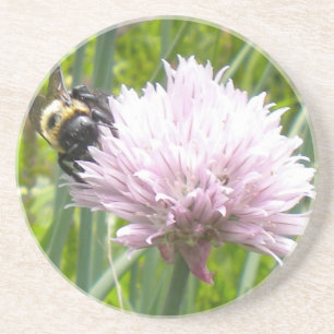 Bee and Chive flower Coaster