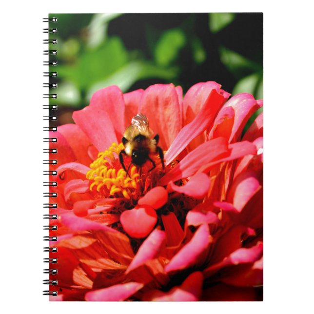 Bee and coral zinnia notebook (Front)