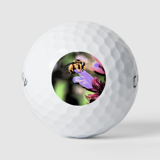Bee and Flower cwb gbcna Golf Balls (Front)