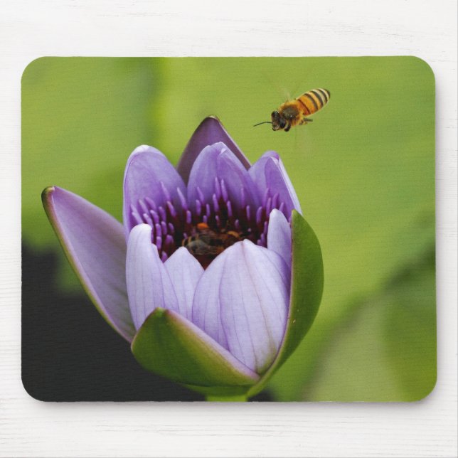 Bee and flower Mouse Pad (Front)