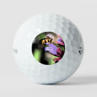 Bee and Flower tmtp5 gbcnm