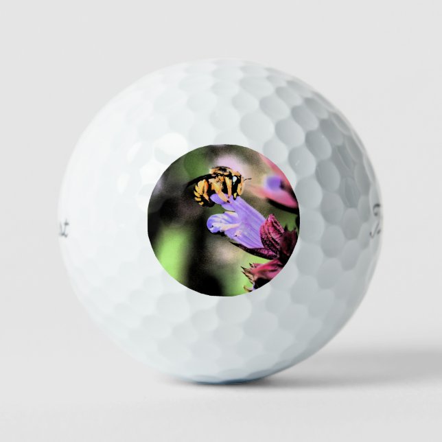 Bee and Flower tpv1 gbcnm Golf Balls (Front)