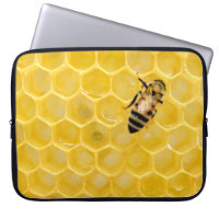 bee and honeycomb