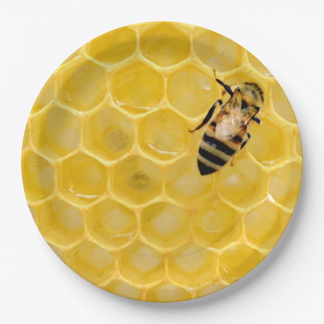 bee and honeycomb paper plate (Front)