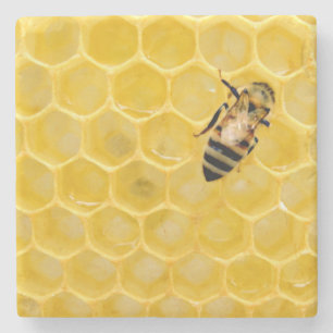 bee and honeycomb stone coaster