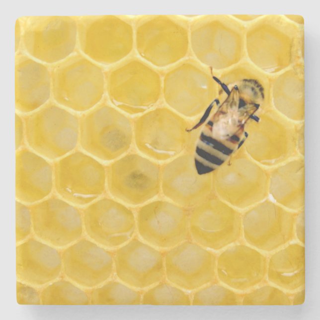 bee and honeycomb stone coaster (Front)