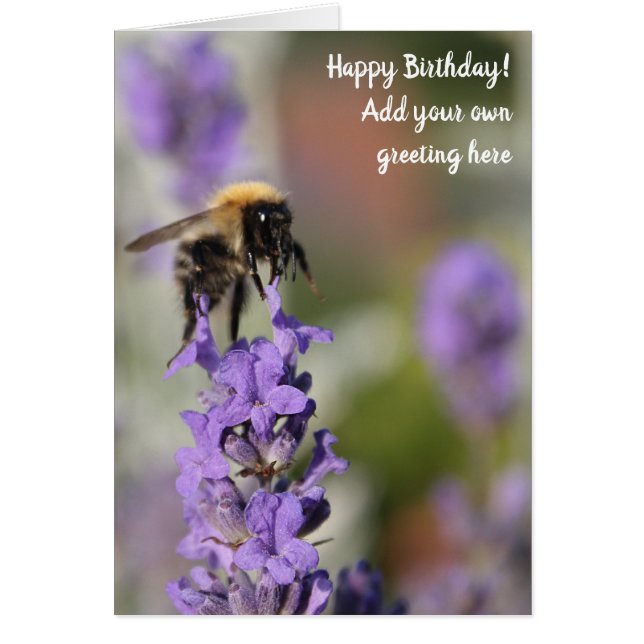 Bee and Lavender Flowers, Birthday Card (Front)