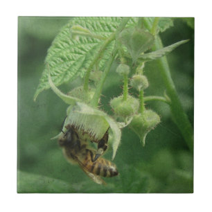 Bee and Raspberry Flowers Tile