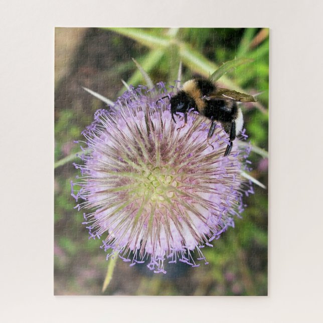 BEE AND TEASEL FLOWER JIGSAW PUZZLE (Vertical)