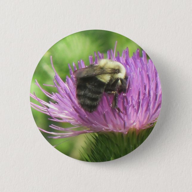 Bee and Thistle Button (Front)