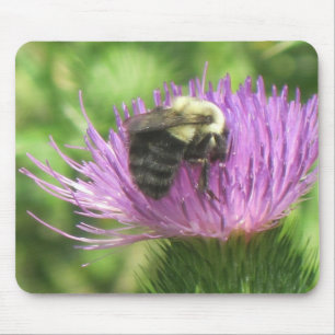 Bee and Thistle Mouse Pad