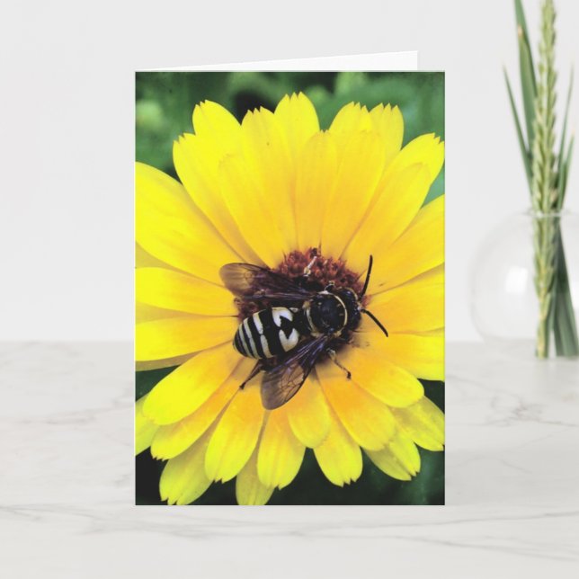 Bee and Yellow Flower Card (Front)