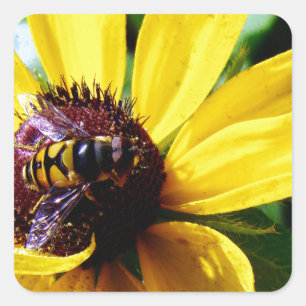 Bee and Yellow Flower Square Sticker
