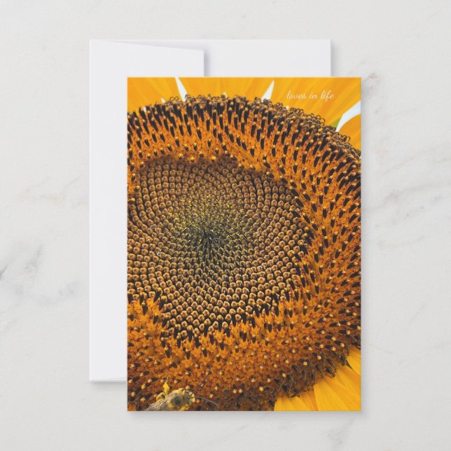 Bee Antennae & Sunflower  Card (Front)