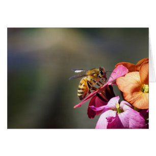 Bee-atiful Bee!