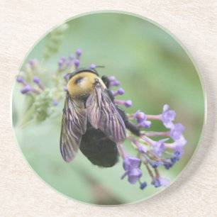 Bee-autiful Bee Coaster