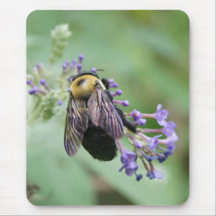 Bee-autiful Bee Mouse Pad