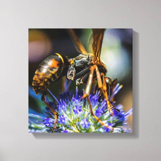 Bee Aware 12" x 12", 1.5", Single Wrapped Canvas (Front)