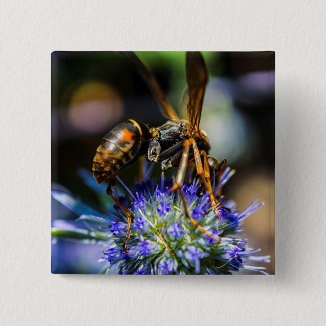 Bee Aware 2 Inch Square Button (Front)