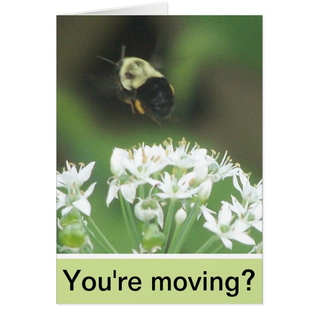 Bee Away (Front)