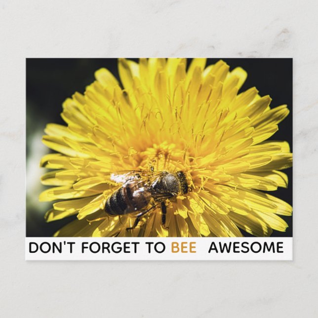 Bee awesome inspirational bee on yellow dandelion postcard (Front)