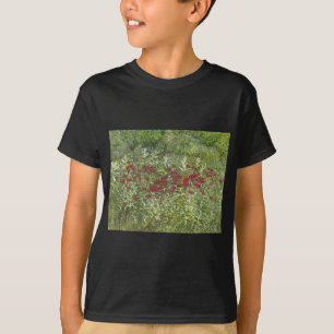 Bee Balm (Bergamont) in August T-Shirt