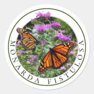 Bee Balm Monarda and Monarch Butterflies Classic Round Sticker