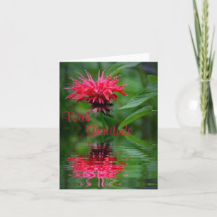 Bee Balm Reflection Thank You Card
