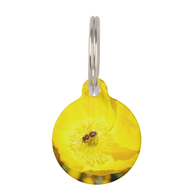 Bee Bathed in Yellow  Pet Tag (Front)