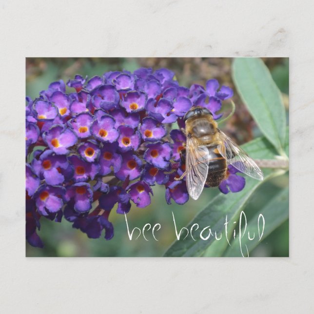 bee beautiful postcard (Front)