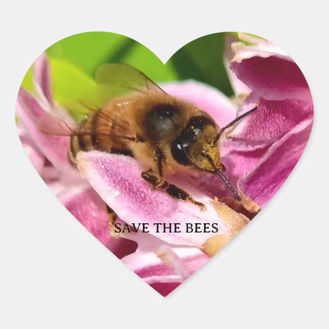 Bee between pink flowers nature photo sticker (Front)