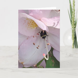 Bee Bottom Blank Card