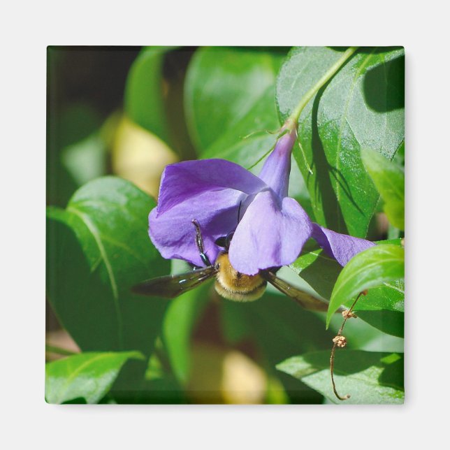 Bee Busy Magnet (Front)