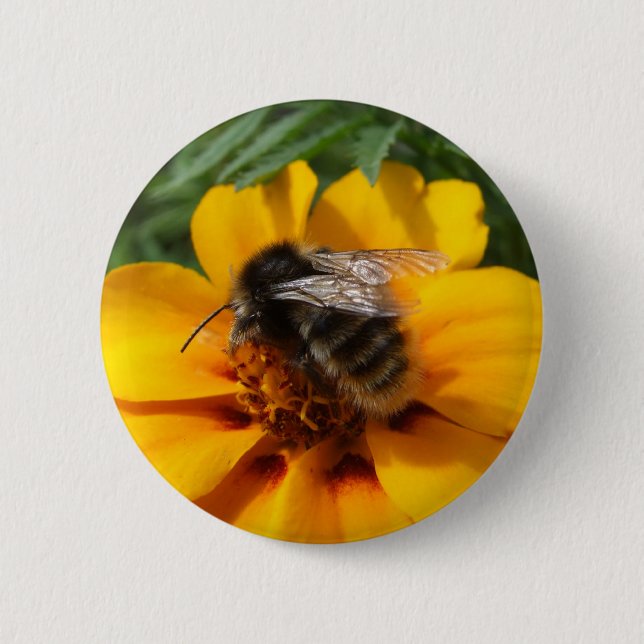 Bee Button (Front)