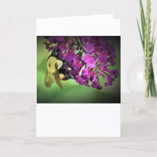 Bee, card