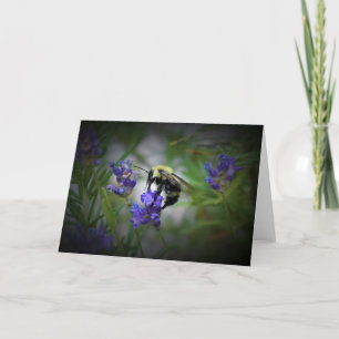 Bee, card