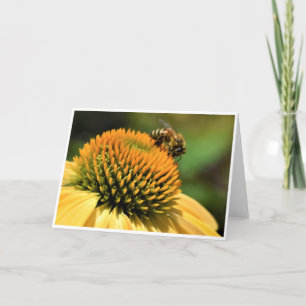 Bee, card