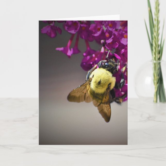 Bee, card (Front)