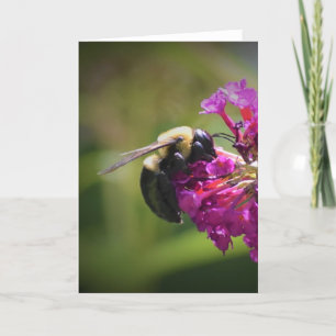 Bee, card
