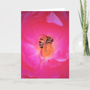 Bee, card