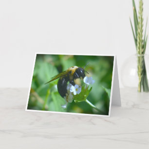 Bee, card