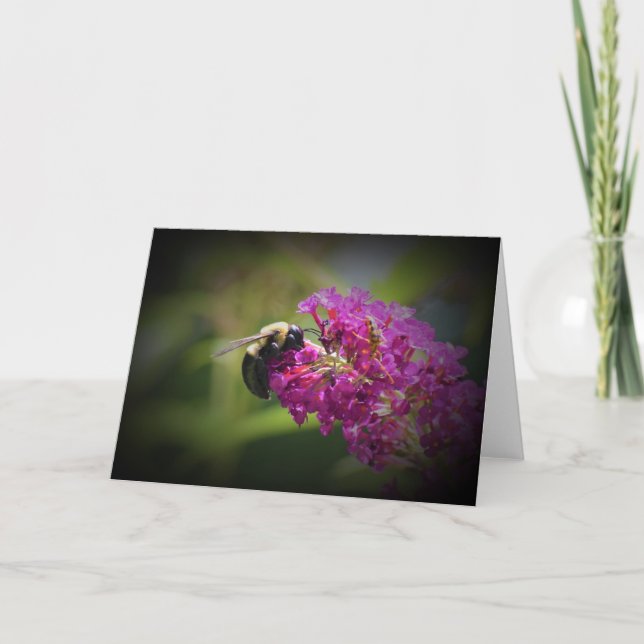 Bee, card (Front)