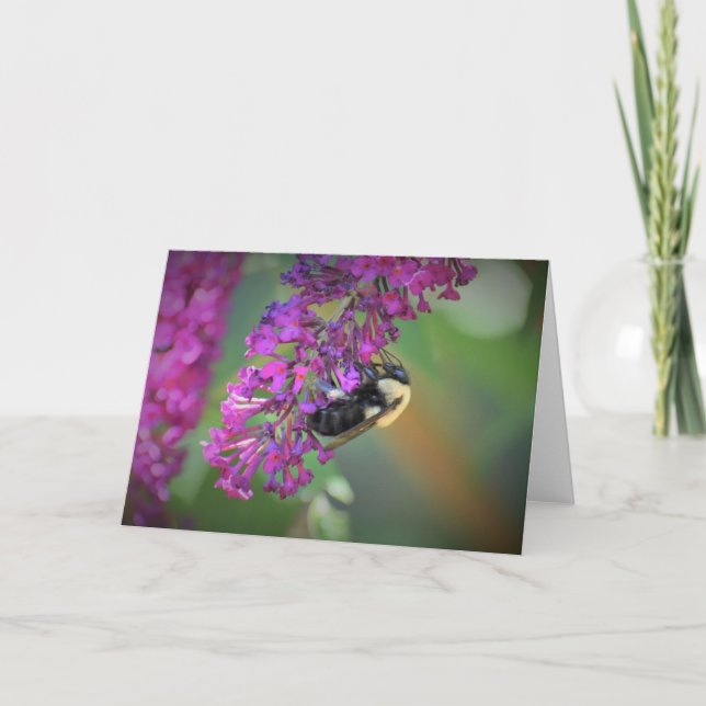 Bee, card (Front)