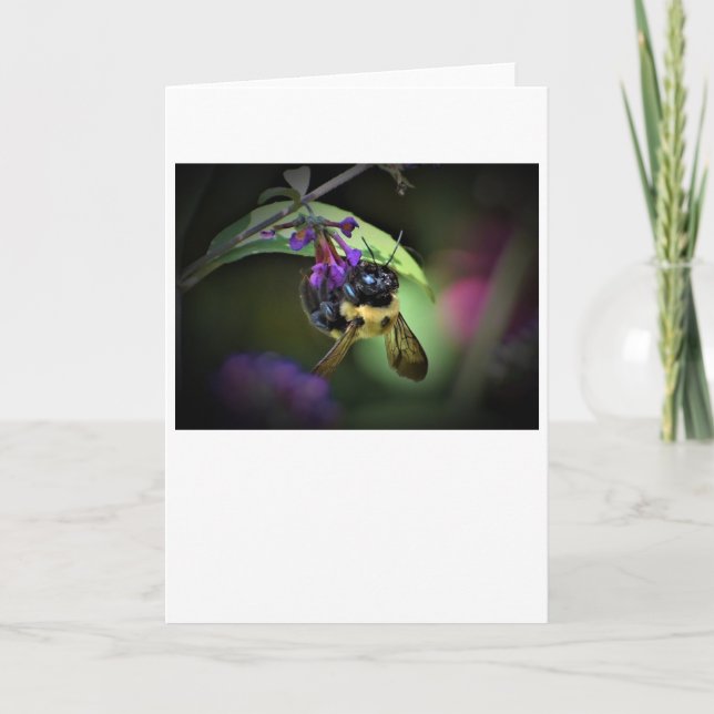 Bee, card (Front)