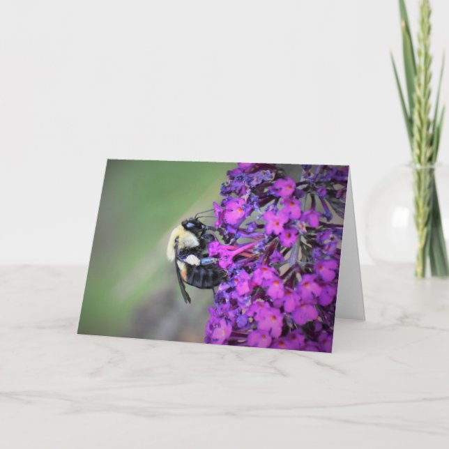 Bee, card (Front)