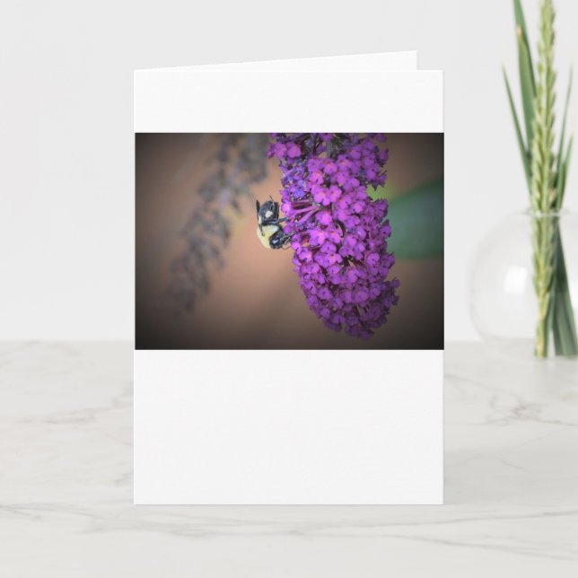 Bee, card (Front)