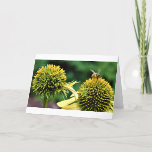 Bee, card