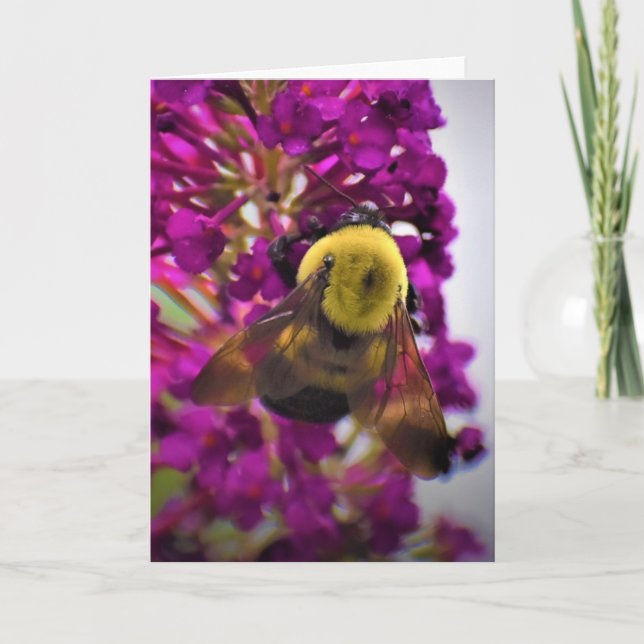 Bee, card (Front)