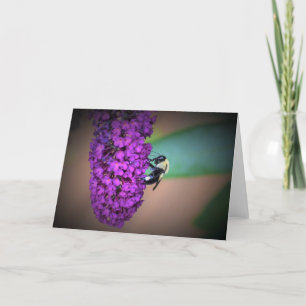 Bee, card