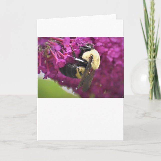 Bee, card (Front)
